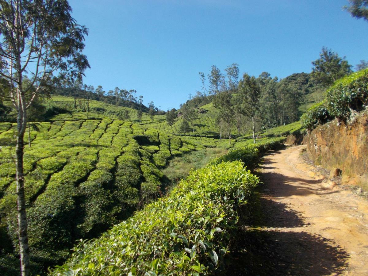 Greenview Holiday Inn Munnar Dış mekan fotoğraf